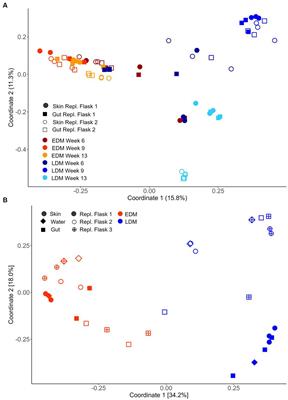 The stability and composition of the gut and skin microbiota of Atlantic salmon throughout the yolk sac stage